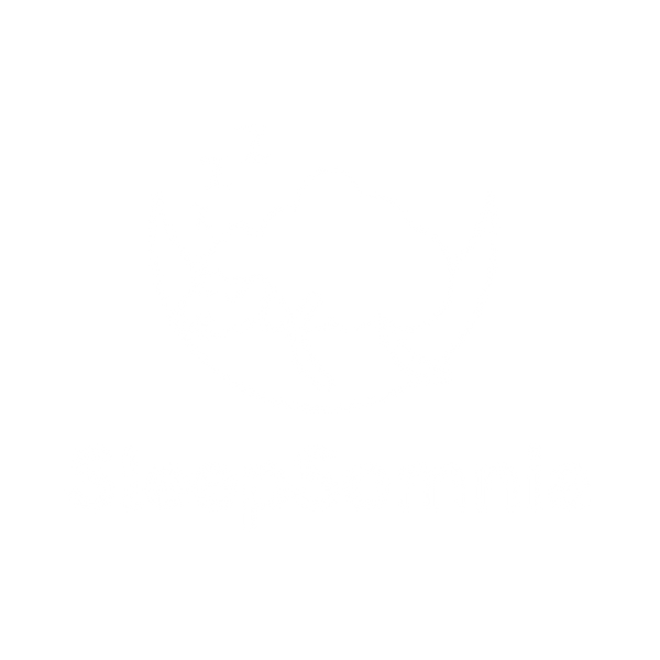 Sleepsomnia